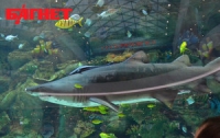 Многострадальная киевская акула погибла в Германии