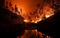 Сибирь охватили масштабные лесные пожары