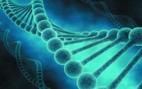 Заболевания типа аутизма и шизофрении связаны всего четырьмя генами