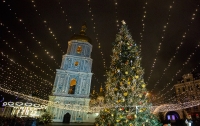 Стало известно, когда в Киев привезут главную елку страны