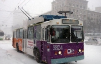 В Черновцах ездят самые удобные троллейбусы в Украине (ФОТО)