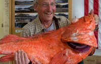 На Аляске водятся и ловятся крупные 200-летние рыбины