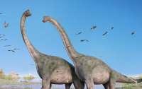 Гигантские рептилии: обнаружены уникальные неизвестные динозавры