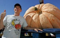 В Японии фермер вырастил гигантскую тыкву 