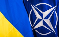 США сделали важное заявление по вступлению Украины в НАТО