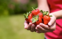 Клубника понижает уровень сахара в крови