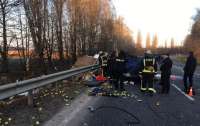 Жуткое ДТП в Винницкой области: водители погибли на месте (видео)