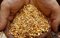 Огромные залежи золота нашли на Закарпатье