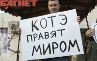 В Симферополе зооактивисты пообещали снести магазин, торговавший кошачьими шкурками (ФОТО)