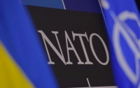 НАТО признало за Украиной статус аспиранта на вступление в Альянс