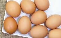 Украинцам прогнозируют стремительное подорожание яиц, - СМИ