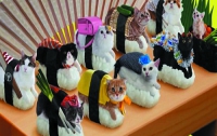 Японская компания продвигает свои суши с помощью кошек (ФОТО)