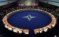 МН17: в Парламентской ассамблее НАТО выдвинули требование к России