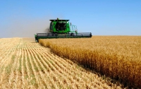 Объем инвестиций в сельское хозяйство Украины может превысить $40 миллиардов 
