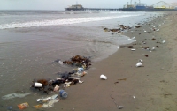 Украинский курорт на Азовском море тонет в фекалиях