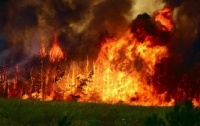 В России сотни гектаров леса охвачены неконтролируемым пламенем