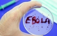 Четыре человека умерли от Эболы в Гвинее