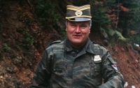 Экс-лидера армии боснийских сербов требуют приговорить к пожизненному заключению