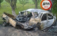 Смертельное ДТП: Dacia Logan врезалась в дерево, есть погибшие