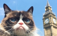 Сердитый Котик осмотрел достопримечательности Лондона