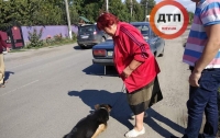 Киевлянка захотела избавиться от собаки и привязала ее цепью к бамперу своей машины