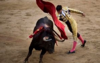 Корриды в Испании теперь не будет 