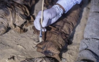 Археологи раскопали древнюю коллекцию мумий кошек