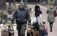 Украинцев начнут штрафовать за выгул собак без намордника и поводка