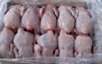 Украина займет девятое место среди крупнейших мировых экспортеров курятины, - эксперты