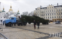 В Киев на Софиевскую площадь уже привезли главную елку страны (ФОТО)