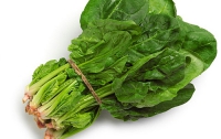 Шпинатное меню: готовим супер-полезные блюда