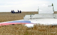 Нидерланды заявили о создании трибунала по MH17