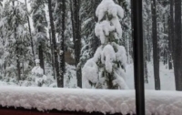 Канаду завалило снегом посреди августа (видео)