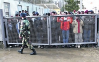 Четверых грузин-нелегалов задержали возле границы