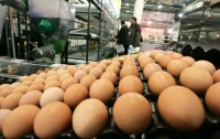 Avangardco IPL увеличила производство яиц на 48% до 4,4 млн штук