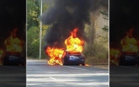 Tesla Model S самостоятельно сгорела во Франции