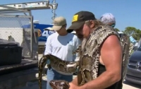 Американский охотник за змеями поймал питона-гиганта (видео)
