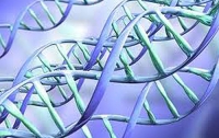 Самыми важными событиями года стали открытия в генной инженерии