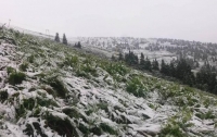 Летний снегопад накрыл Карпаты (видео)