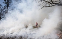 В Канаде бушует масштабный пожар: людей массово эвакуируют