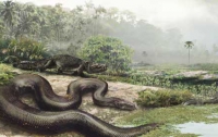 В Америке обнаружены останки древних гигантских змей и черепах