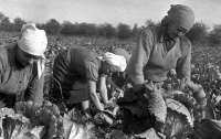 Наслідок пасивності в 1920-их роках: Україна окупована, а селяни стали рабами московського режиму