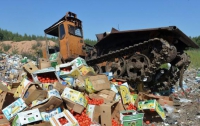 В России уничтожили почти 800 тонн еды