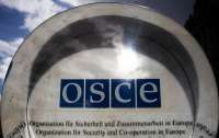 Россия приостановит участие в Парламентской ассамблее ОБСЕ