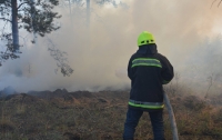 В Днепропетровской области снова пожар: Огонь тушат в военном лесхозе