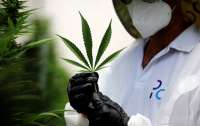 Комитет Верховной Рады одобрил легализацию медицинского каннабиса