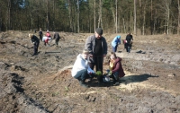 На Ривненщине начали высаживать лес
