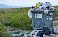 Росіяни хочуть створити сміттєзвалища на окупованому Сході та звозити сміття з рф, – ЦНС