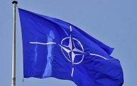 Международные учения НАТО пройдут в Грузии