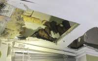 В Днепре спасатели изъяли с балкона квартиры 140 летучих мышей